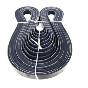 CUMMINS 1812162 (7pk1752) Belt