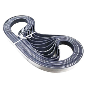 CUMMINS 8PK1443 Belt