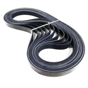 CUMMINS 8pk1445 Belt
