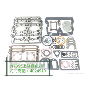 Repair kits NT855 4024919 High match