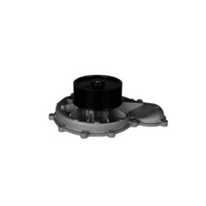 cummins water pump 3698067